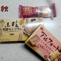 笹原　奈央
