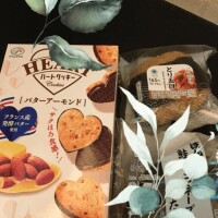 瀬名　麻衣子