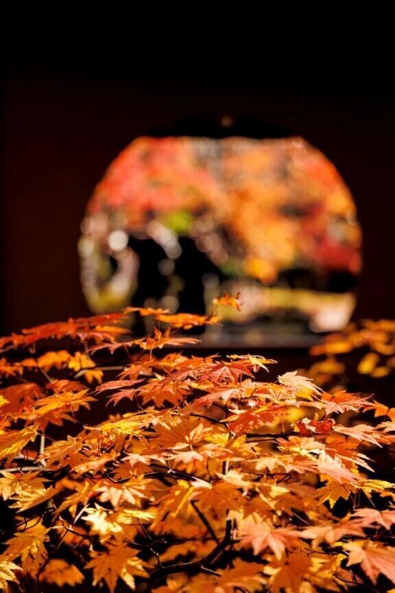 か⚪︎ち、せ⚪︎くすしよ。