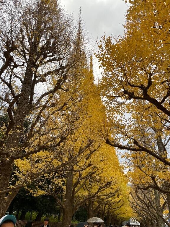 おはようございます！