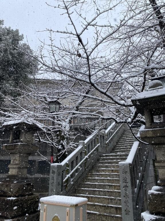 ありがとうございます。