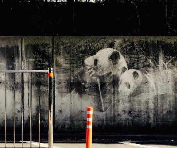 ありがとうございました😊🌸