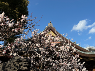 待ってます☺️