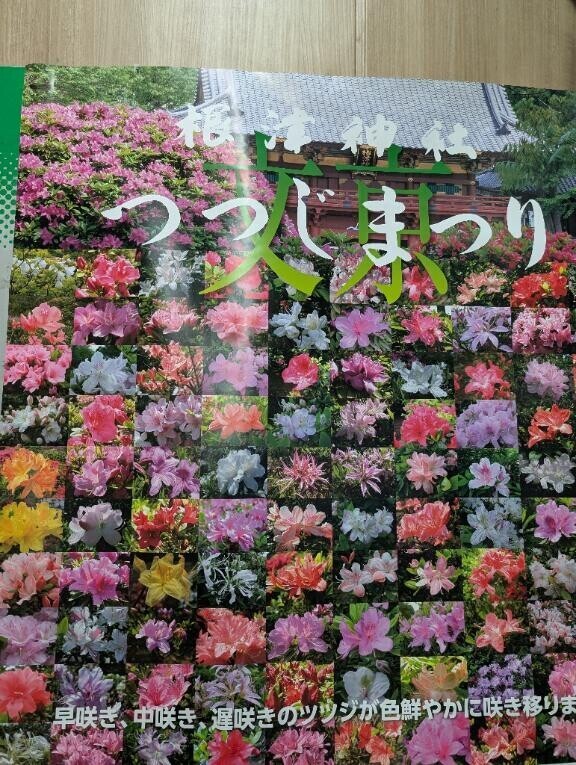 ありがとうございました♥