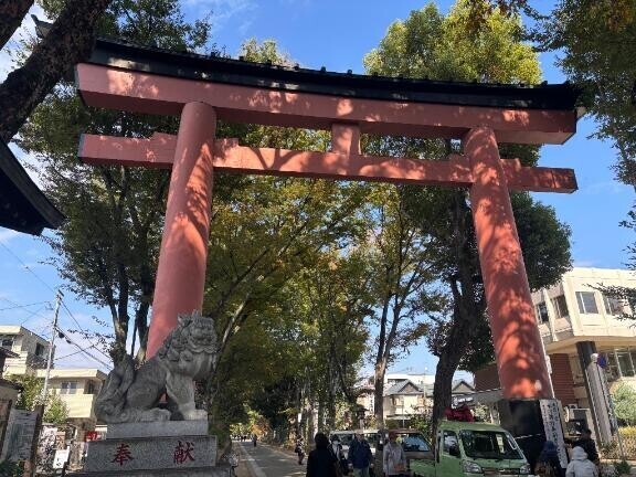 炬燵とサヨナラ