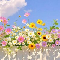 新山えみ
