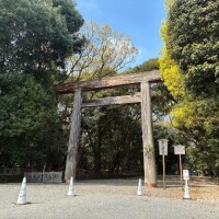 白井　なぎさ