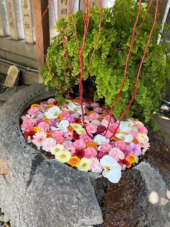 5月の