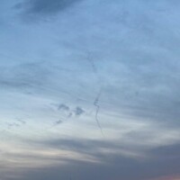 白井　なぎさ