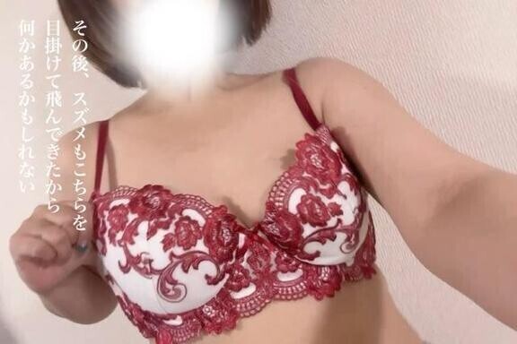 止まり木ではない。