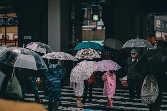 曇りから雨🌧️