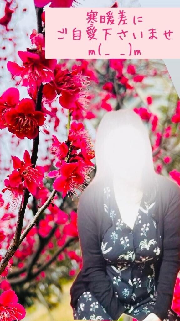 梅は百花の魁