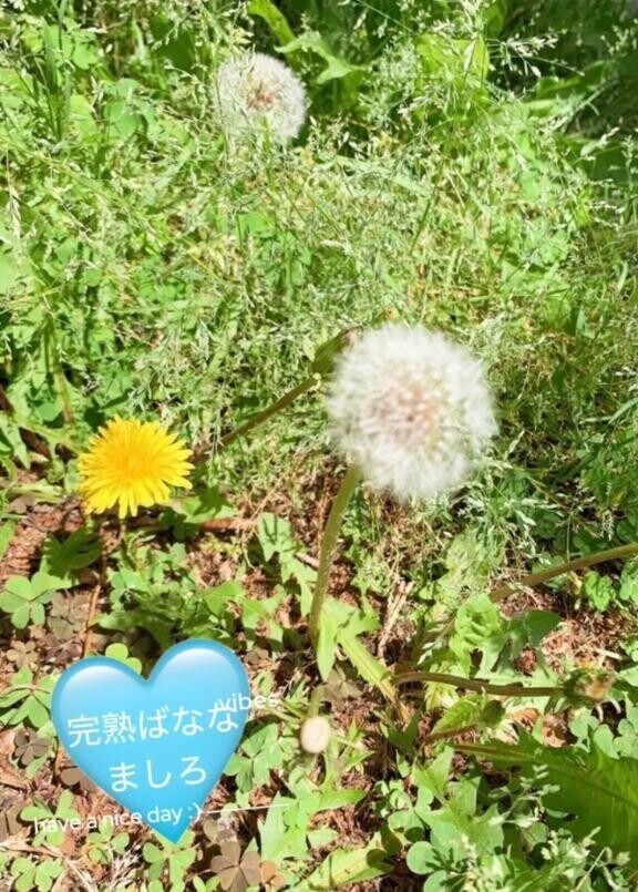 ?クレセリアGET！！?