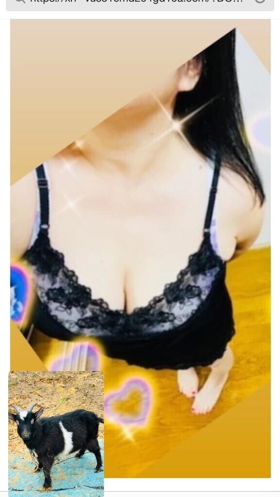 ヤギ汁?メェ～