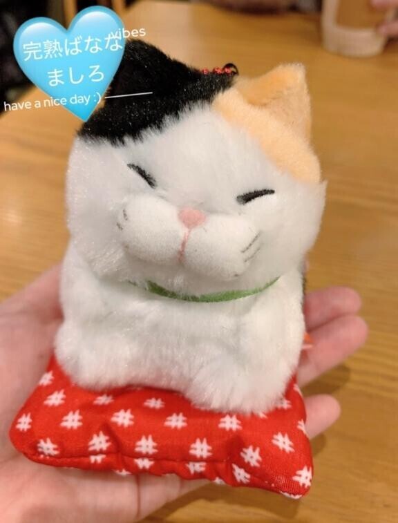 ?嗜好品と予約についてだよ??