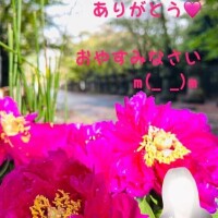ちえみ
