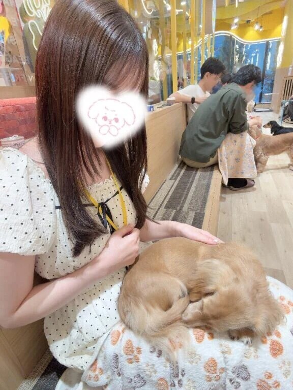 癒し(  ˊ͈ ˙̫ ˋ͈ )✨✨