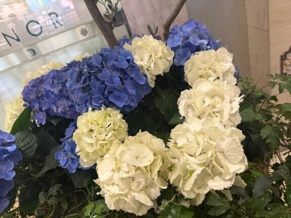 チェック！💖
