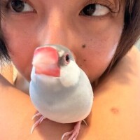 なつめ