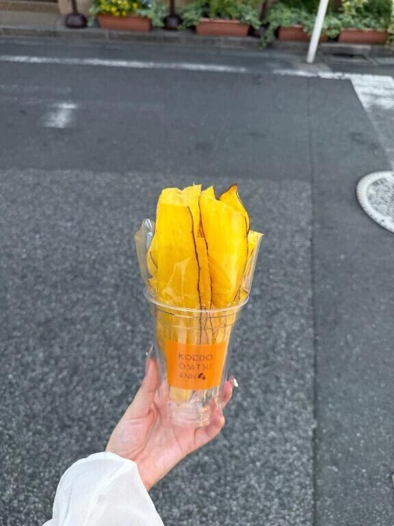 次回