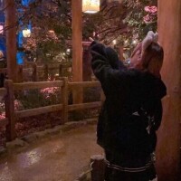 あむ