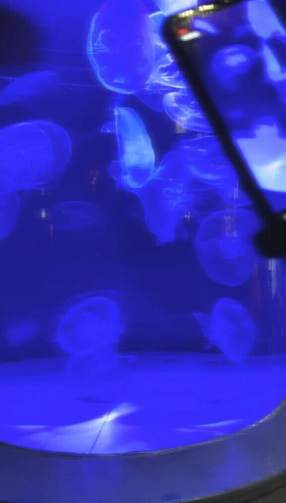 好きな場所🐬