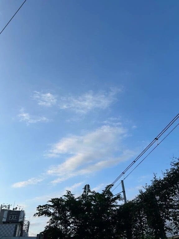 おは❕