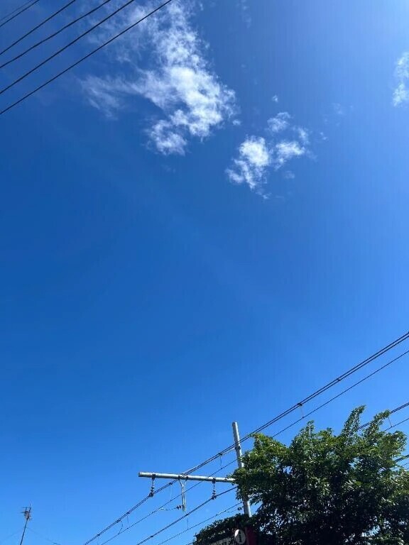 ごめん🙇‍♀️