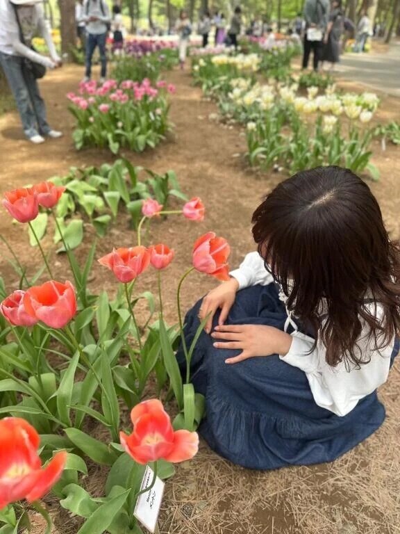 今日が最終日みたい❕