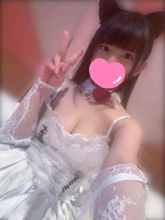 いるよ🐱🌸