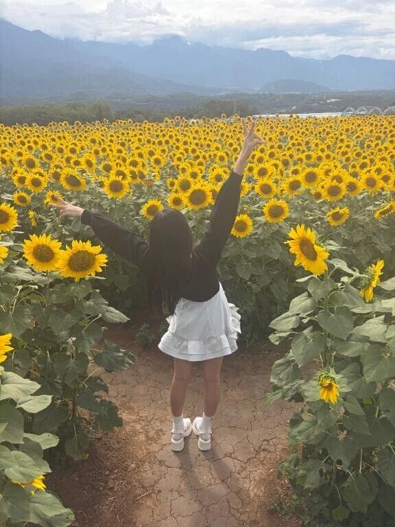 夏のお裾分け🌻