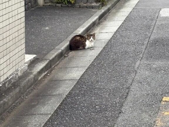 つぎの出勤