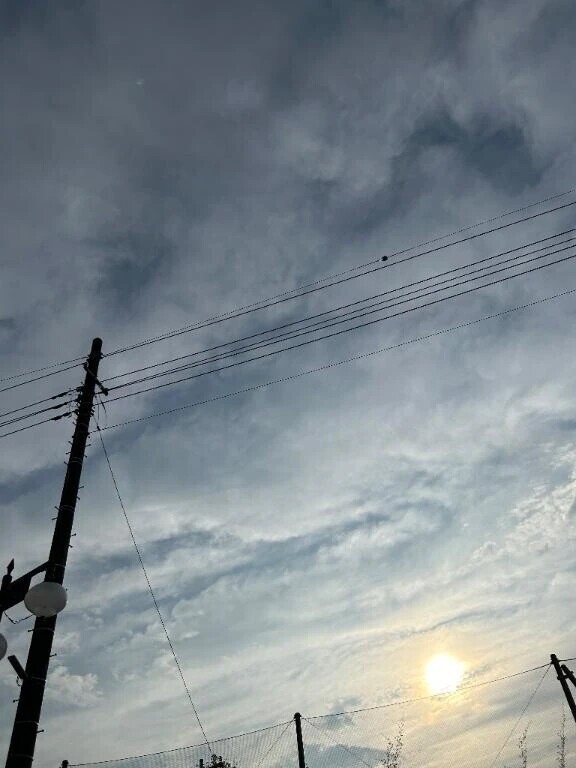 おは❕