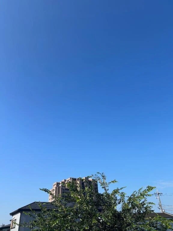 おはよう❕