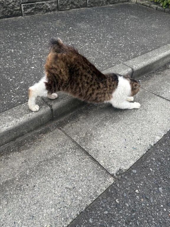 出勤！