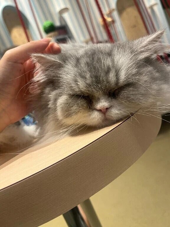 まったり ㅠ ̫ㅠ♡