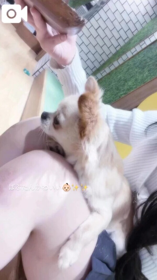ありがとう👶🏻💕