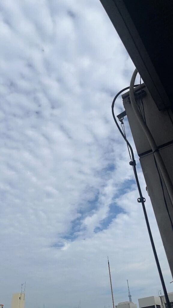 (ｱｰ*´  `*ｷﾓﾁ-)