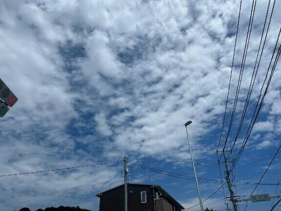 おはよ❕