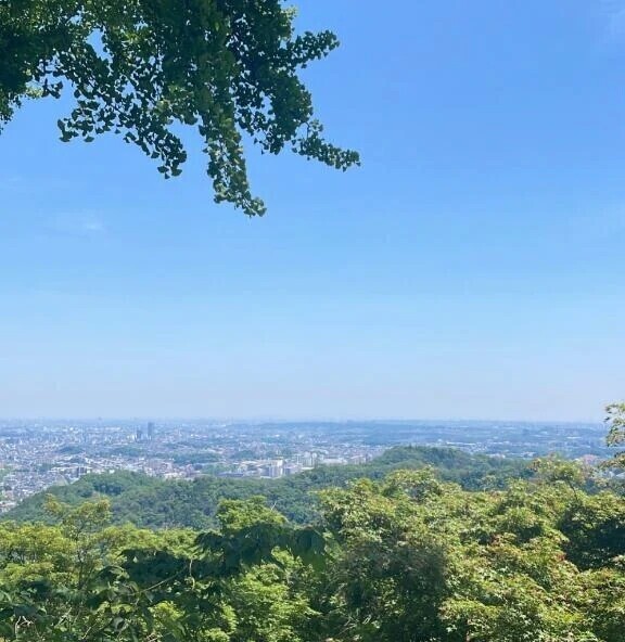 更新したよ〜🆙💫