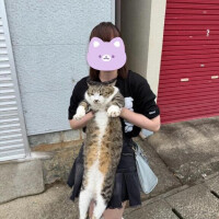 ひなた