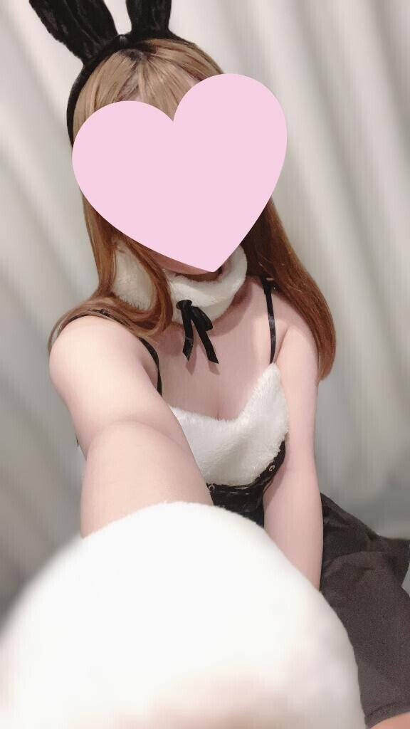 🐰