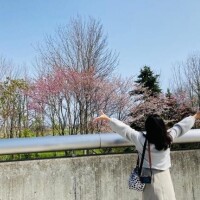 ののか