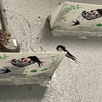 ののか