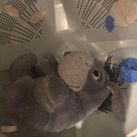 さな