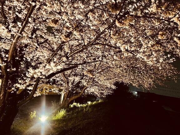 あした