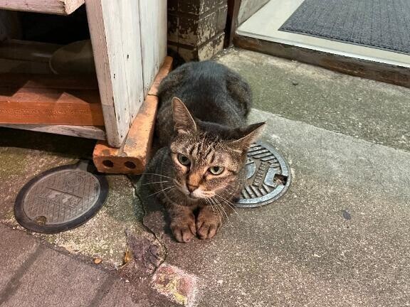 もっと