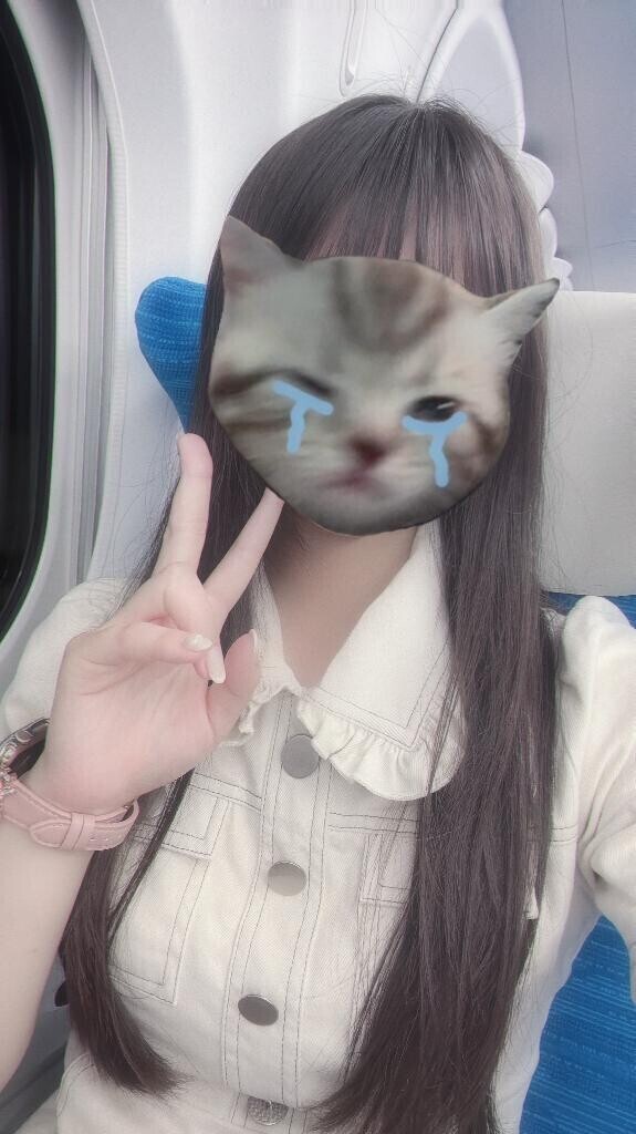 出勤しました🌻