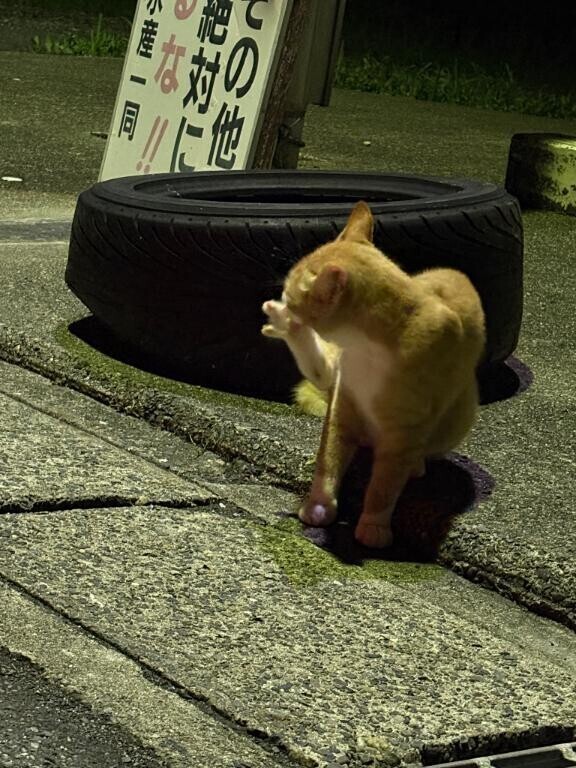 次の出勤は
