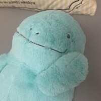 ひなた